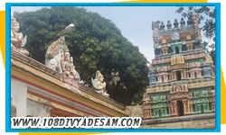 nagercoil divyadesams tour 13 malainadu divyadesa yatra